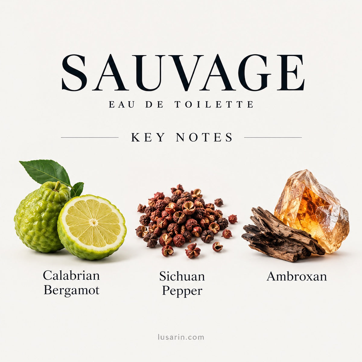 Sauvage Parfum 100 ml